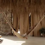 ذا وايلد باي إنتيرني 5*