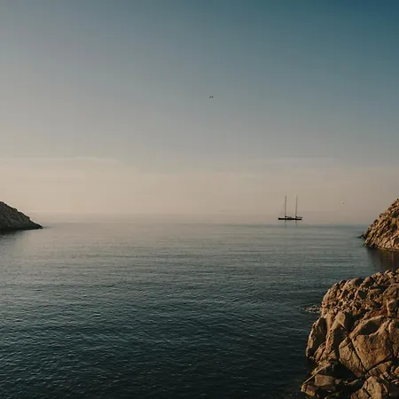 The Wild By Interni Kalafatis