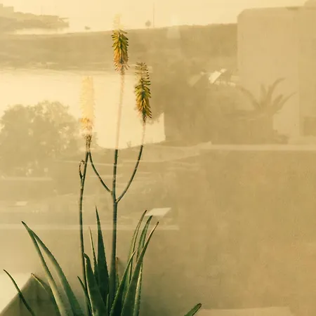 Hotel The Wild By Interni 5*