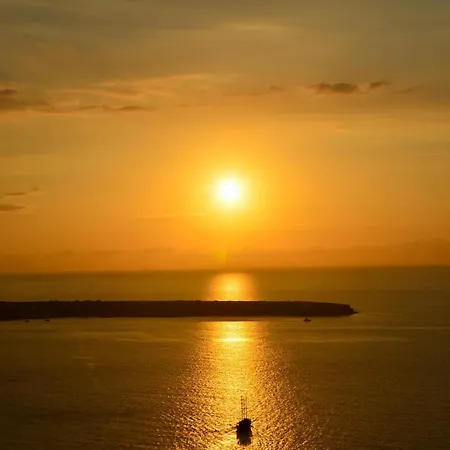 ذا وايلد باي إنتيرني