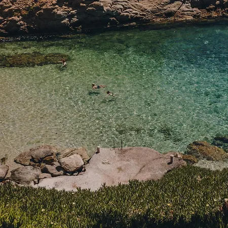 ذا وايلد باي إنتيرني