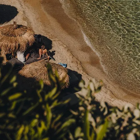 ذا وايلد باي إنتيرني 5*