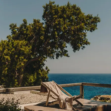 ذا وايلد باي إنتيرني