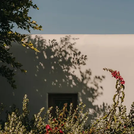 The Wild By Interni 5*