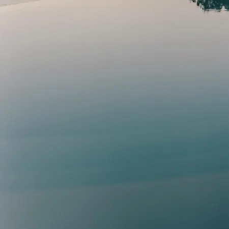 ذا وايلد باي إنتيرني 5*