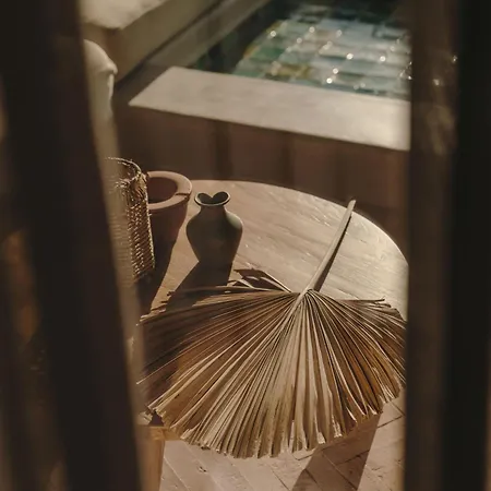 فندق ذا وايلد باي إنتيرني