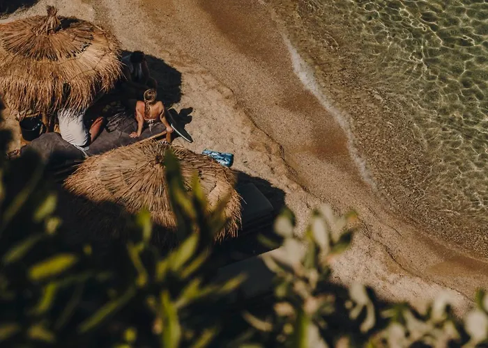 The Wild By Interni 5*