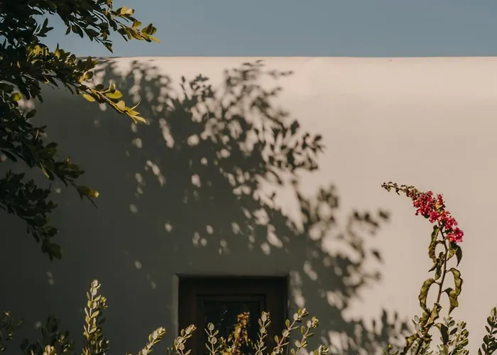 The Wild By Interni 5*