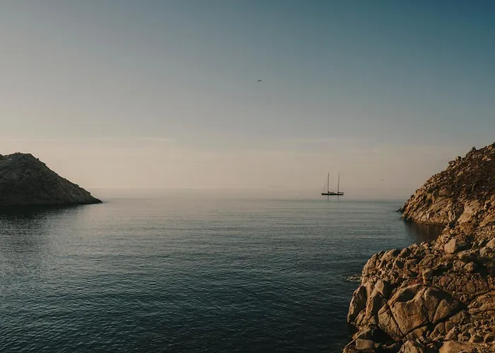 The Wild By Interni Kalafati