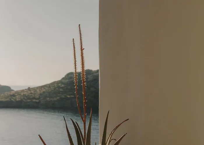 Hotel The Wild By Interni Kalafati