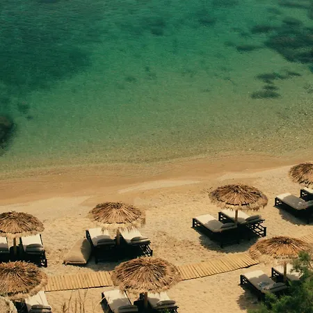 The Wild By Interni 5* 칼라파티스