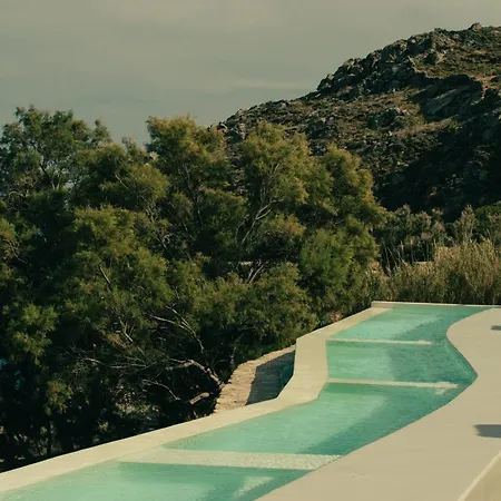 ذا وايلد باي إنتيرني كالافاتيس