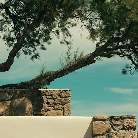 호텔 The Wild By Interni 5*