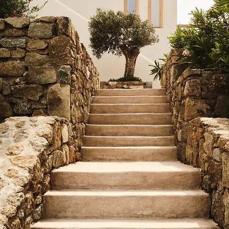 Hotel The Wild By Interni