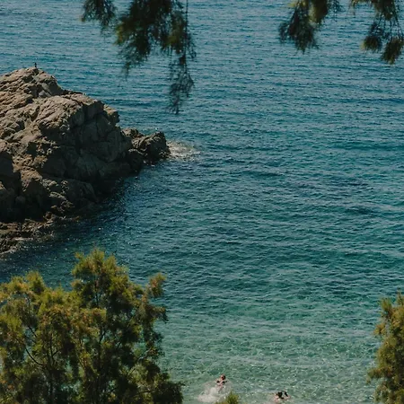 The Wild By Interni Kalafatis