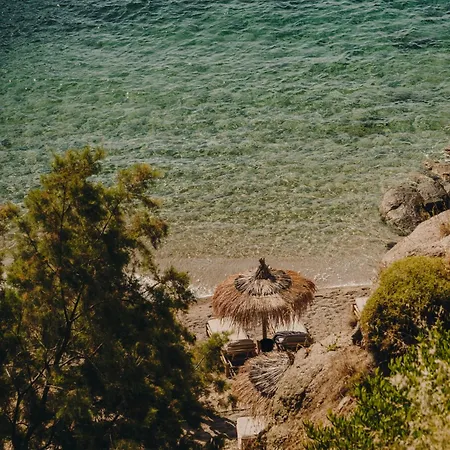 The Wild By Interni ホテル 5*