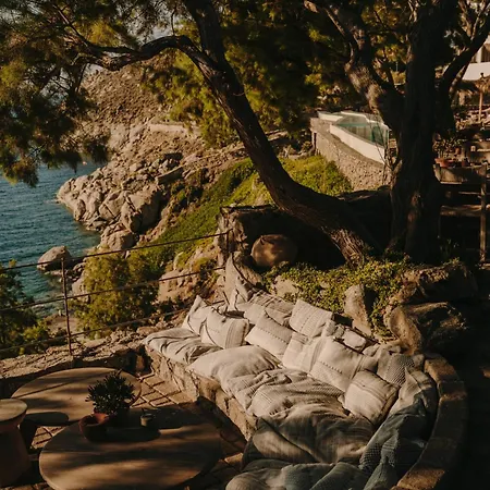 فندق ذا وايلد باي إنتيرني 5*