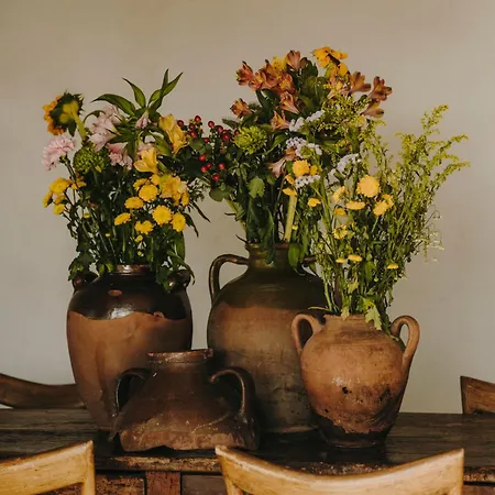 The Wild By Interni 5* Kalafatis