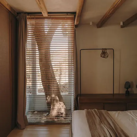 ذا وايلد باي إنتيرني فندق 5*