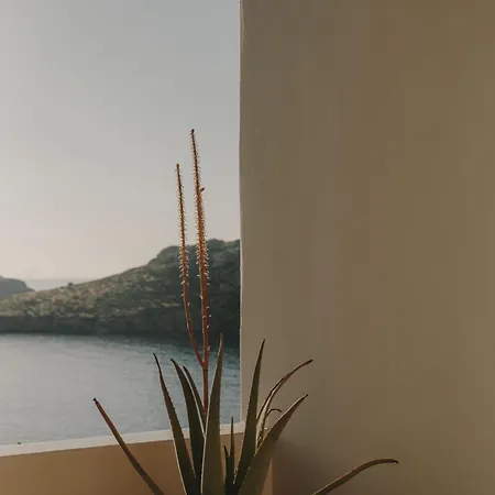 호텔 The Wild By Interni 칼라파티스