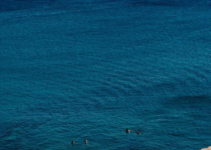 The Wild By Interni Hotel