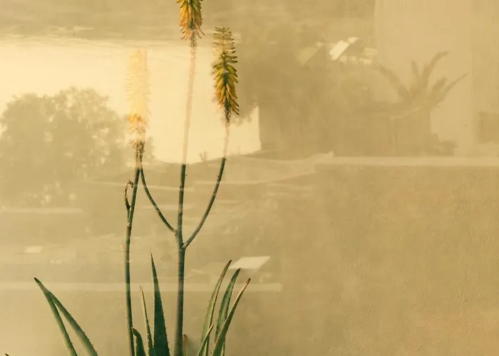 Отель The Wild By Interni 5*