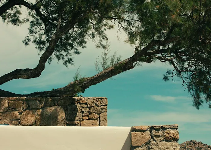 Отель The Wild By Interni 5*