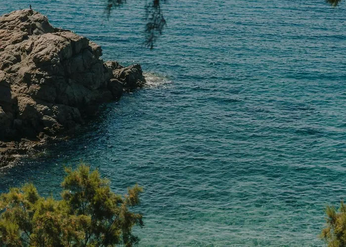 The Wild By Interni Калафатис