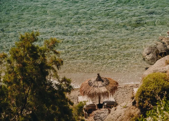 The Wild By Interni Отель 5*