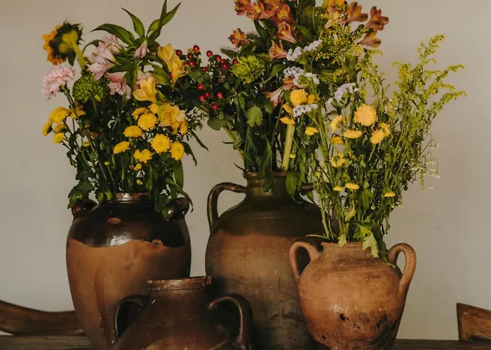 The Wild By Interni 5* Калафатис